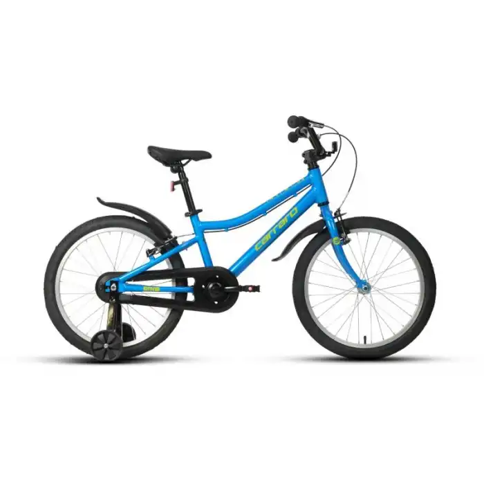 CARRARO DINO KIZ ÇOCUK BİSİKLETİ 285H V 20 JANT MAVİ LİMON YEŞİL