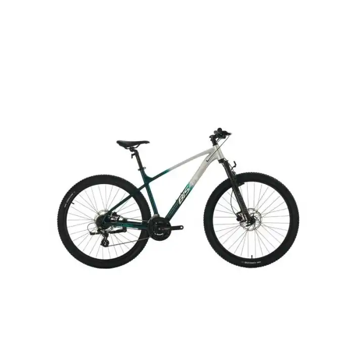 BİSAN BOLD 8.3 ERKEK DAĞ BİSİKLETİ 43CM HD 29 JANT 24 VİTES GRİ KOYU YEŞİL KROM