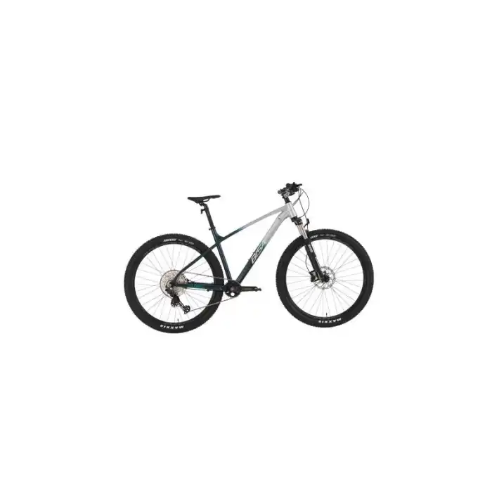 BİSAN BOLD 12.1 ERKEK DAĞ BİSİKLETİ 43CM HD 29 JANT 12 VİTES GRİ KOYU YEŞİL KROM