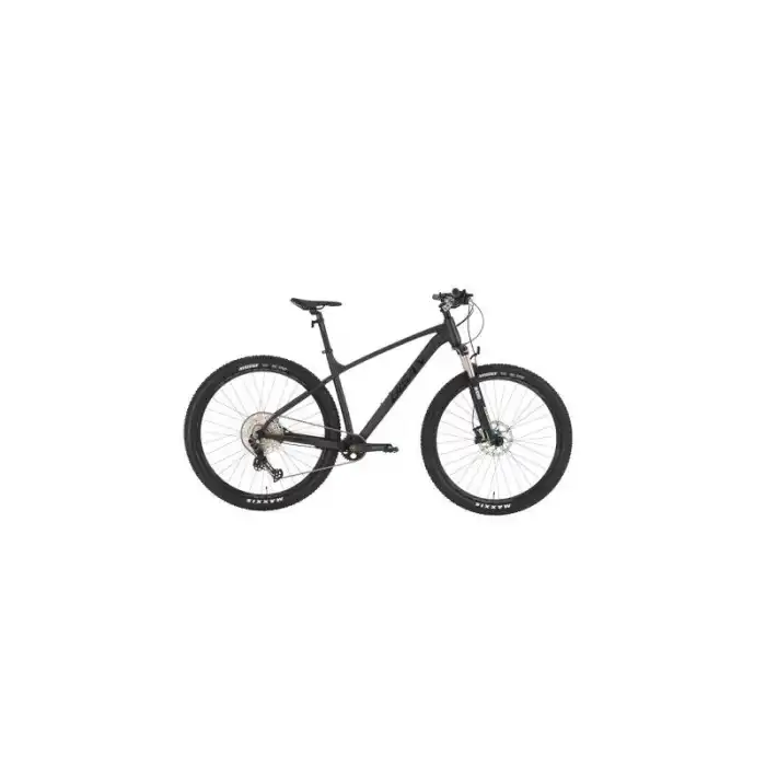 BİSAN BOLD 12.1 ERKEK DAĞ BİSİKLETİ 43CM HD 29 JANT 12 VİTES SİYAH SİYAH