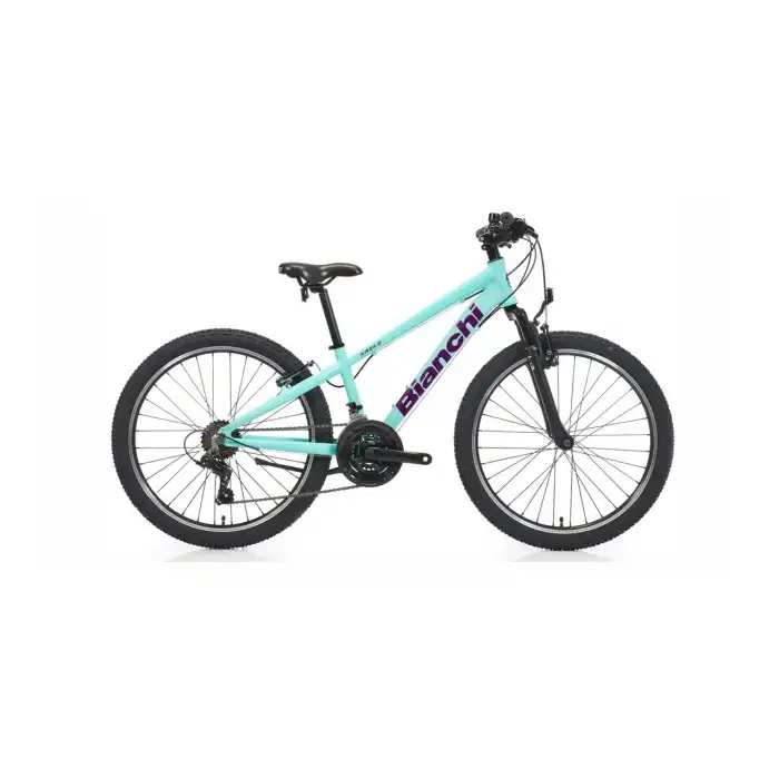 BIANCHI XR24.2 ERKEK DAĞ BİSİKLETİ 310H V 24 JANT 21 VİTES CELESTE MOR