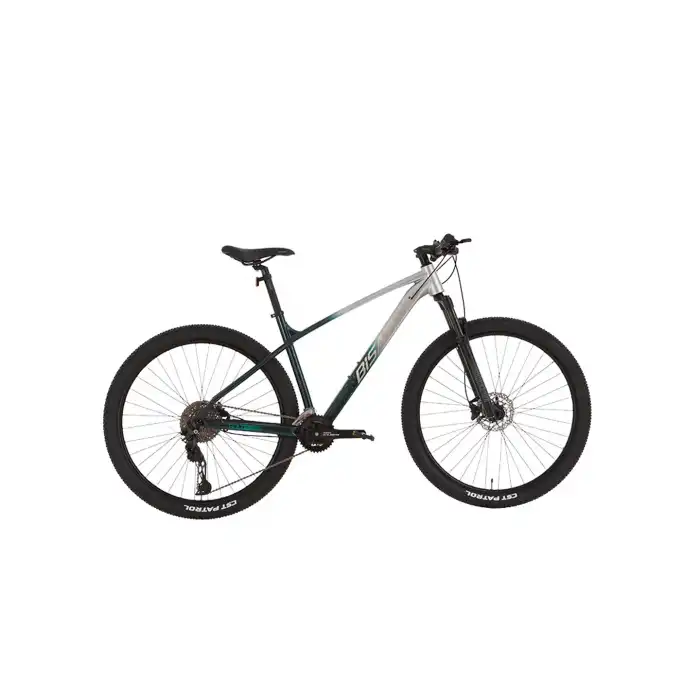 BİSAN BOLD 11.2 ERKEK DAĞ BİSİKLETİ 43CM HD 29 JANT 22 VİTES GRİ KOYU YEŞİL KREM