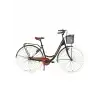 BİSAN SORRENTO KADIN ŞEHİR BİSİKLETİ 44CM V 26 JANT 3 VİTES YEŞİL SİLVER