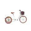 CARRARO CARAVAN KARGO KATLANIR ŞEHİR BİSİKLETİ 410H V 24 JANT 6 VİTES ALTIN BEYAZ SİYAH KAHVERENGİ
