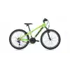 BIANCHI XR24.2 ERKEK DAĞ BİSİKLETİ 310H V 24 JANT 21 VİTES YEŞİL SİYAH