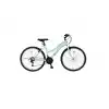 ÜMİT 2434 EXPLORER KADIN DAĞ BİSİKLETİ V 24 JANT 21 VİTES MİNT