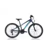 BIANCHI XR24.2 ERKEK DAĞ BİSİKLETİ 310H V 24 JANT 21 VİTES HF MAVİ AÇIK MAVİ