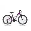 BIANCHI XR24.3 KADIN DAĞ BİSİKLETİ 310H V 24 JANT 21 VİTES MÜRDÜM GRİ