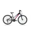 BIANCHI XR24.3 KADIN DAĞ BİSİKLETİ 310H V 24 JANT 21 VİTES SİYAH PEMBE