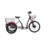 CARRARO E-LINE ePACK 2.1 UNISEX BİSİKLET 410H HD 24 JANT NEX.3 VİTES MAT SİYAH KIRMIZI GRİ