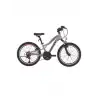 BİSAN BUFFALO ERKEK DAĞ BİSİKLETİ 30CM V 24 JANT 18 VİTES MATALİK GRİ SİYAH KIRMIZI