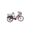 BİSAN E-PORTER L ÜÇ TEKERLİ ELEKTRİKLİ BİSİKLET 44CM V 24 JANT NEX.3 VİTES BAYRAK KIRMIZI BEYAZ