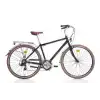 BIANCHI RUBINO ERKEK ŞEHİR BİSİKLETİ 470H V 28 JANT 21 VİTES BLACK GLOSSY