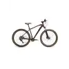 BİSAN MTX 7600 ERKEK DAĞ BİSİKLETİ 48 CM HD 29 JANT 20 VİTES MAT KOYU BORDO SİYAH
