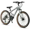 MOSSO WILDFIRE M-24-HD ERKEK DAĞ BİSİKLETİ 330H 24 JANT 21 VİTES MAT GRİ