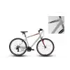 CARRARO SPORTIVE 321 ERKEK ŞEHİR BİSİKLETİ 480H V 28 JANT 21 VİTES GRİ YEŞİL KAHVE