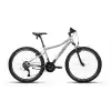 CARRARO MONTE 264 ERKEK DAĞ BİSİKLETİ 400H V 26 JANT 24 VİTES MAT NİKEL SICAK  GRİ SİYAH