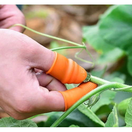 Pratik Baş Parmak Sebze Kesme Ayıklayıcı Erkek L Set