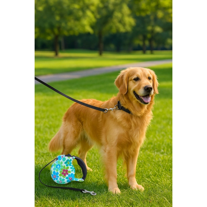 Desenli Köpek Tasması - Pup Style