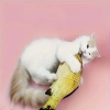 Kedi Oyuncağı Peluş Balık