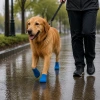 Veteriner Pati Bandajı Kendinden Yapışkanlı Elastik Sargı Bandı | Kedi ve Köpek Bakım Bandajı