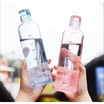 Motivasyon Cam Su Matarası