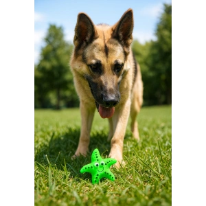 Köpekler İçin Denizyıldızı Figürlü Çiğneme Oyuncağı