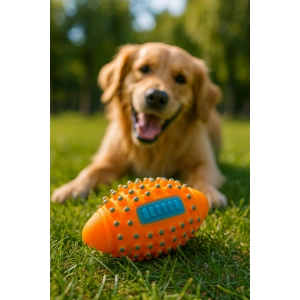 Renkli Kedi Köpek Isırma Topu Sesli