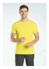 Regular Basic Bisiklet Yaka T-Shirt Sarı