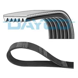 DAYCO 6PK1735 | V Kayışı BMW E36 E46