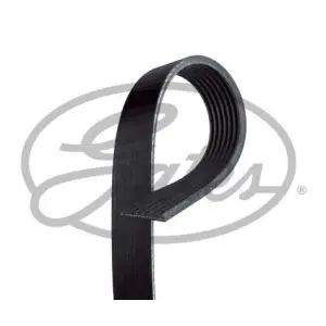 GATES 7PK1103 | V Kayışı Master