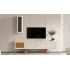Regent Tv Ünitesi