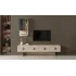 Alyans Tv Ünitesi