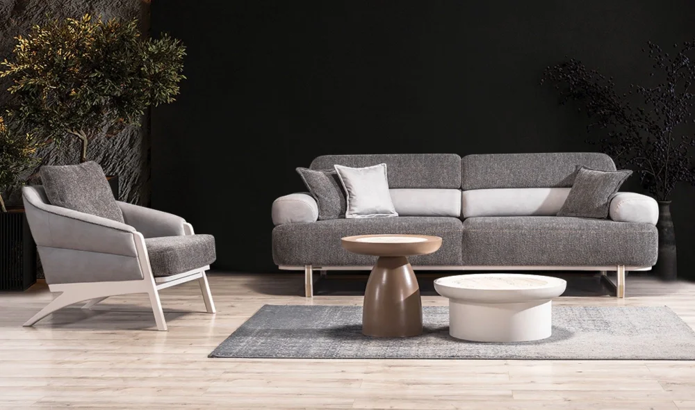 Alp Gri Koltuk Takımı