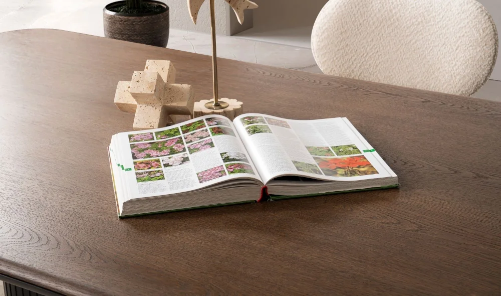 Vesca Yemek Masası Takımı