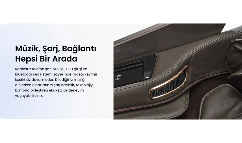 Reston Masaj Koltuğu