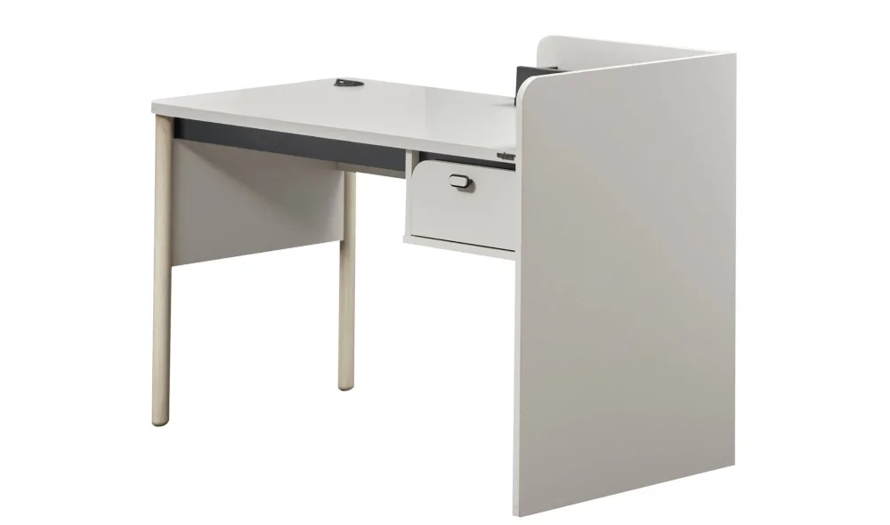 Lion Çalışma Masası