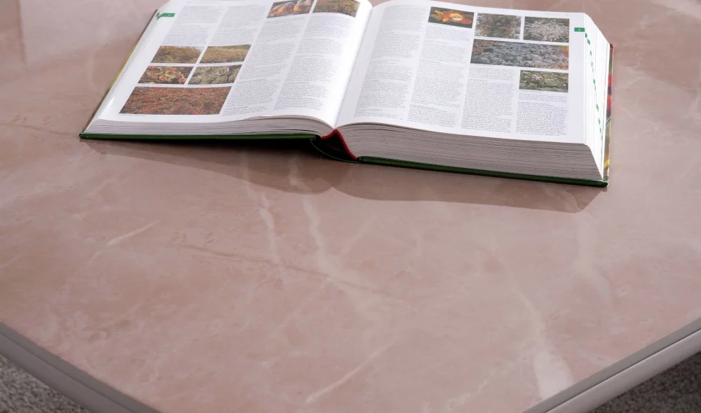 Lotus Life Yemek Odası Takımı