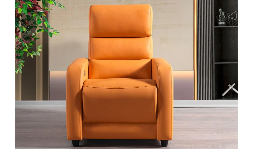 Mali Baba Koltuğu (Motorlu)