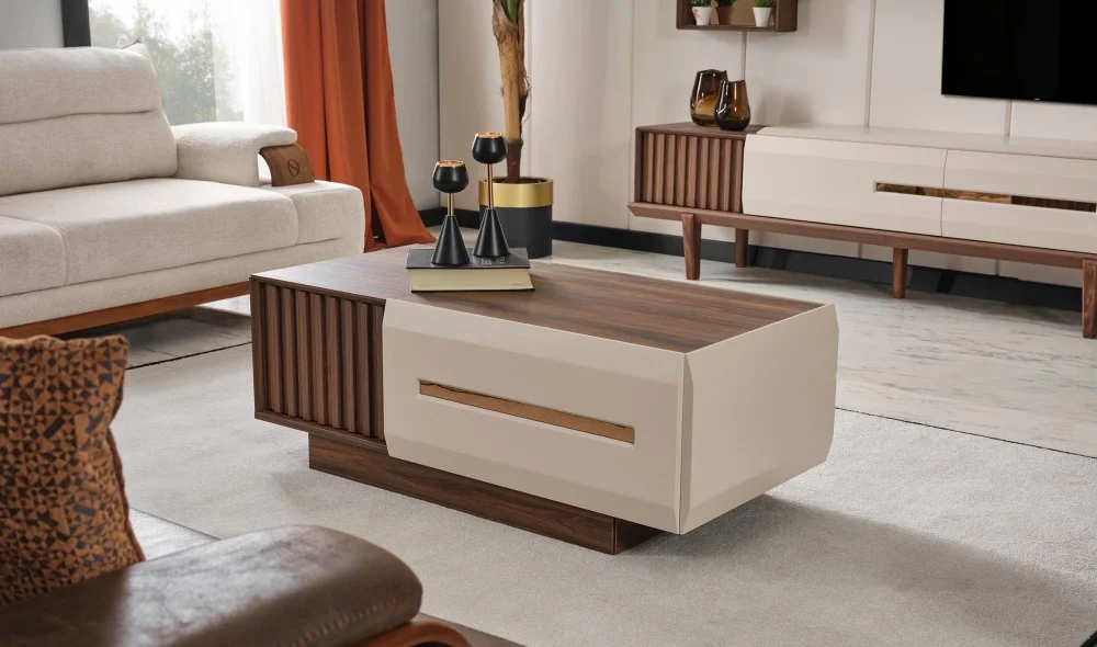 Monza Koltuk Takımı