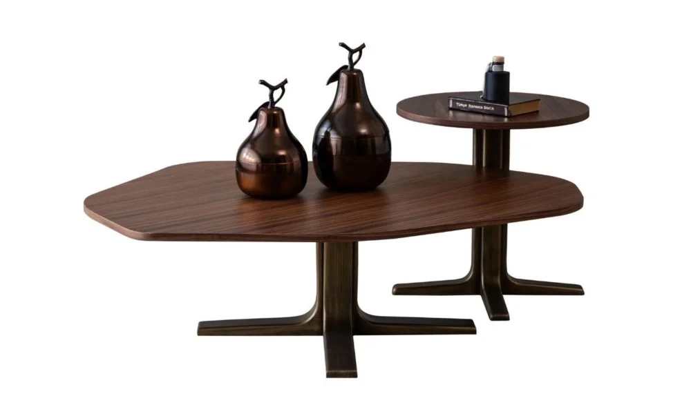 Orion Koltuk Takımı