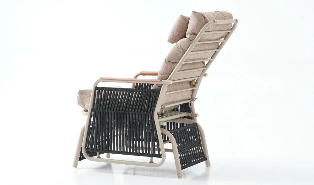 Space Swing Cappucino Sallanır Baba Koltuğu