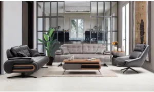 Dragon Koltuk Takımı