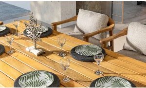 Apollo Iroko Yemek Masası Takımı