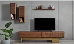 Axis Tv Ünitesi