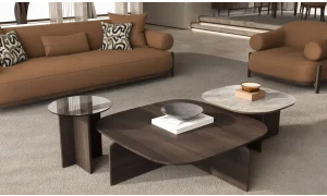 Elva Koltuk Takımı