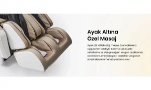 Vionna Masaj Koltuğu