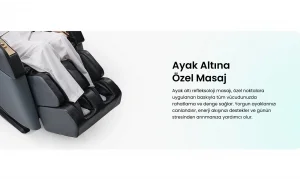 Savona Masaj Koltuğu