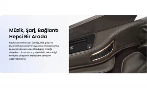 Reston Masaj Koltuğu