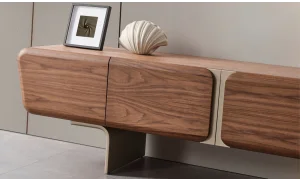 Valencia Tv Ünitesi
